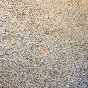 Meet your Posher, Noah